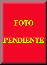 Cuadro de texto:      